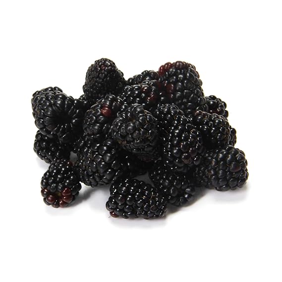 Organic Blackberries
